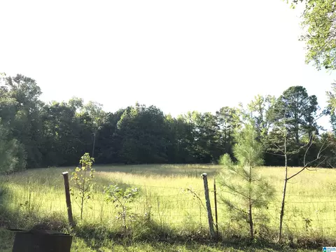 175 Boren Rd, Warrior, AL 35180 photo 11