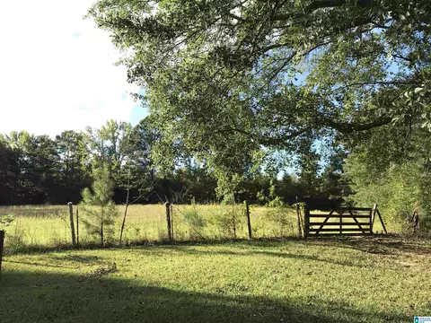 175 Boren Rd, Warrior, AL 35180 photo 12