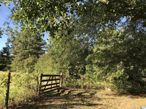 175 Boren Rd, Warrior, AL 35180 photo 13