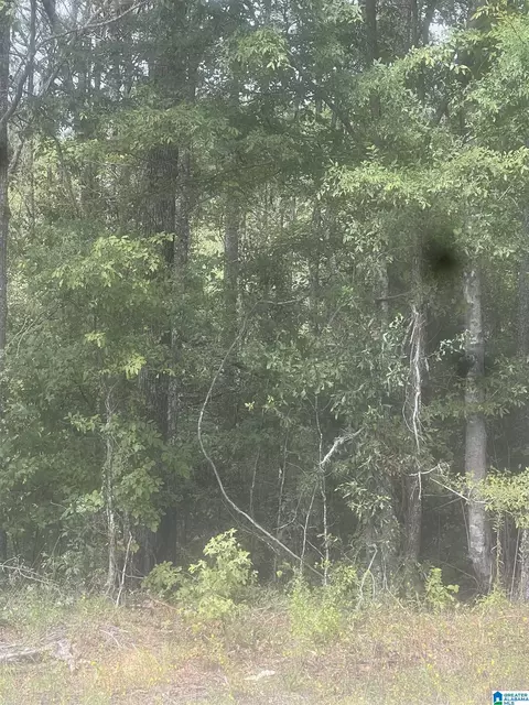 0 Gardners Gin Rd #0, Cordova, AL 35550