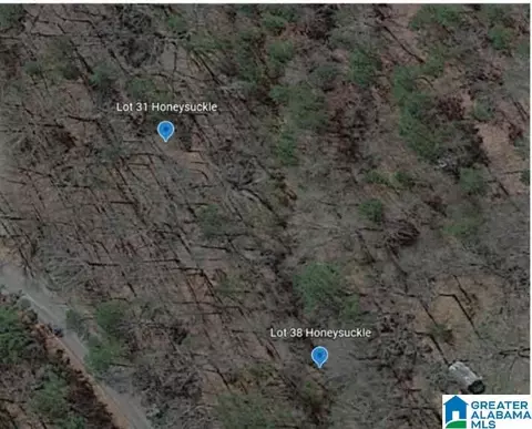 lot38 Honeysuckle Ln #38, Moody, AL 35094
