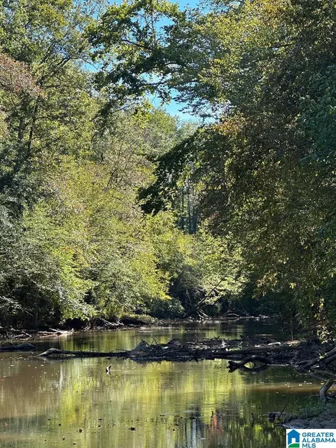 county road 492, Muscadine, AL 36269