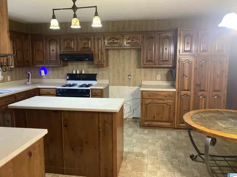 403 Littlejohn Rd, Clanton, AL 35045 photo 3
