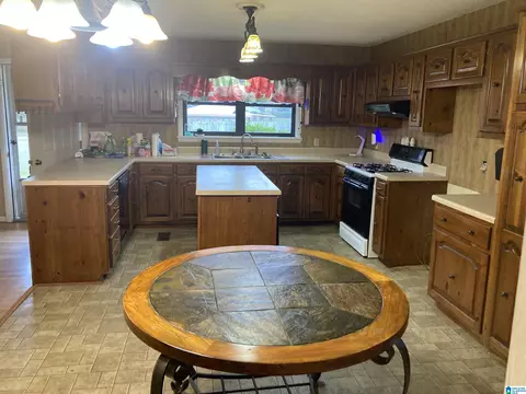 403 Littlejohn Rd, Clanton, AL 35045 photo 4