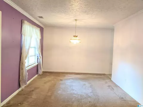 244 Red Valley Rd, Remlap, AL 35133 photo 11