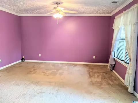 244 Red Valley Rd, Remlap, AL 35133 photo 4