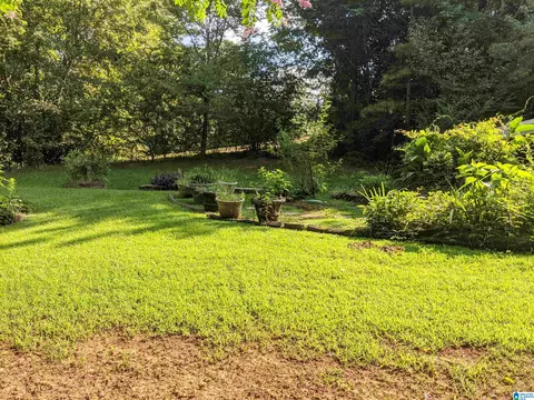 244 Red Valley Rd, Remlap, AL 35133 photo 22