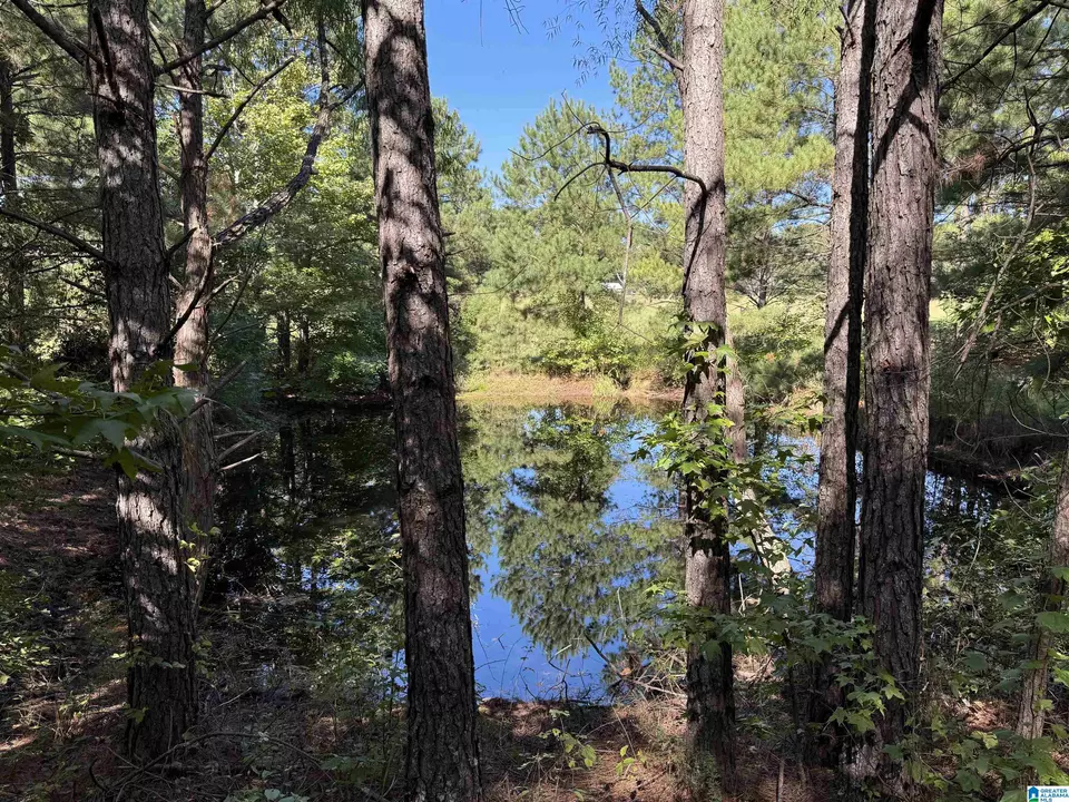  2361 New County Line Rd, Sylacauga, AL 35151 photo 17