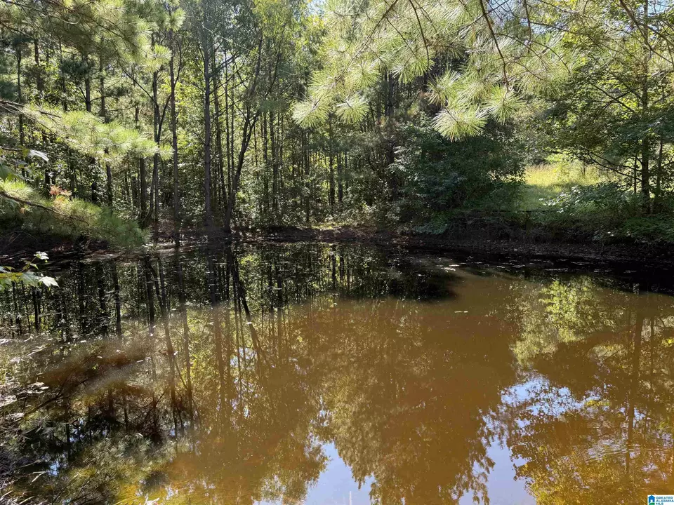  2361 New County Line Rd, Sylacauga, AL 35151 photo 21