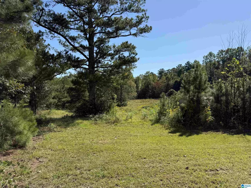  2361 New County Line Rd, Sylacauga, AL 35151 photo 31