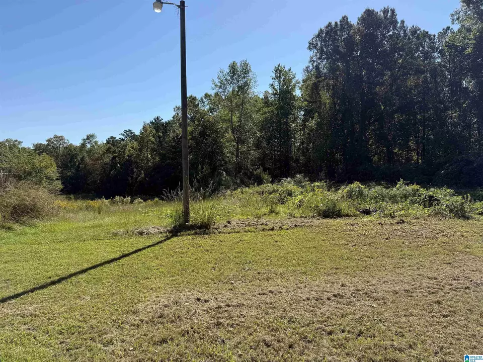  2361 New County Line Rd, Sylacauga, AL 35151 photo 2
