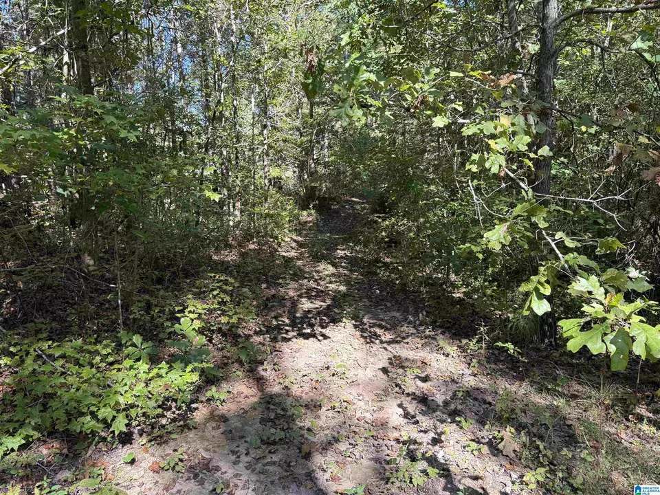  2361 New County Line Rd, Sylacauga, AL 35151 photo 27