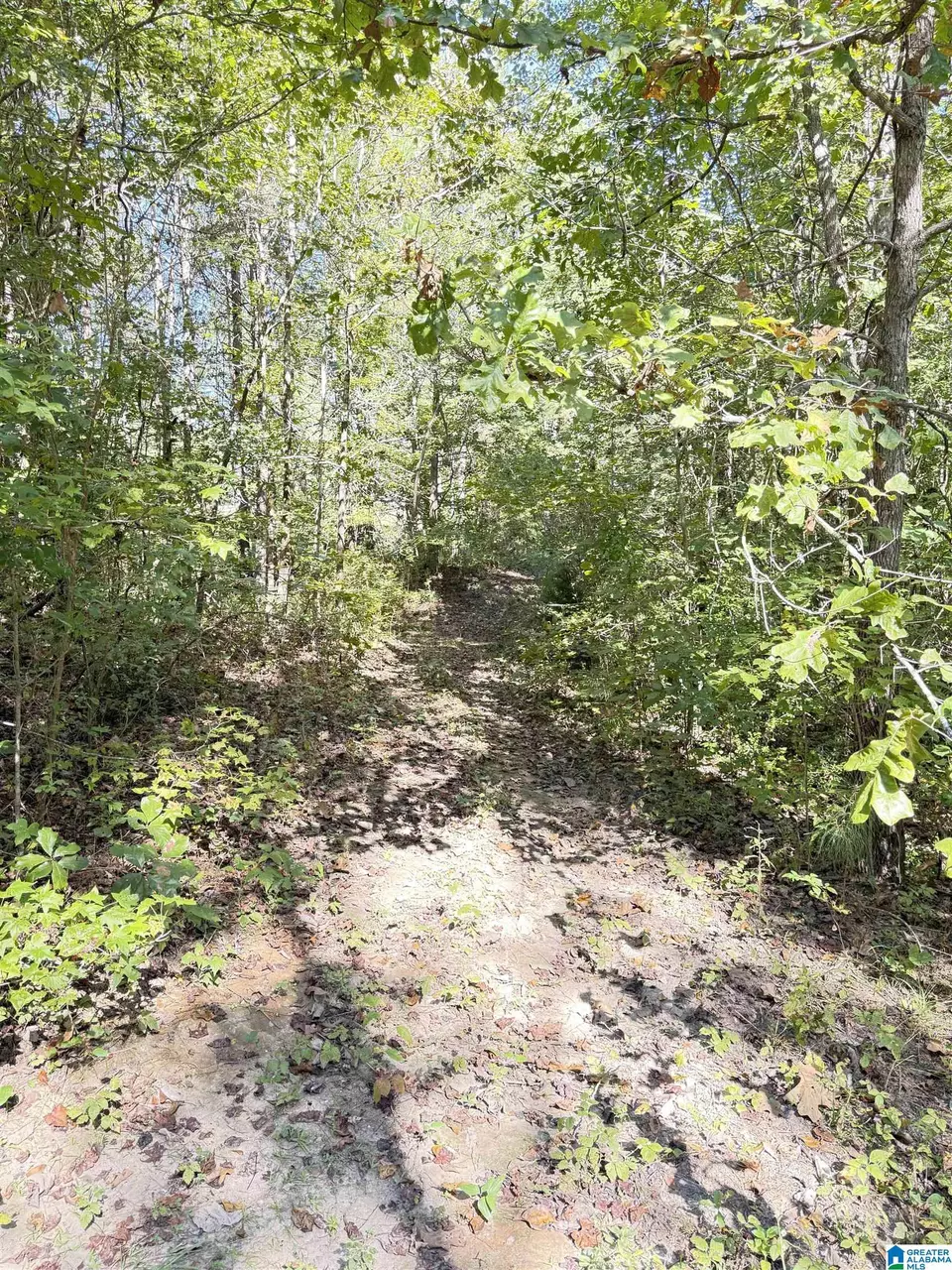 2361 New County Line Rd, Sylacauga, AL 35151 photo 28