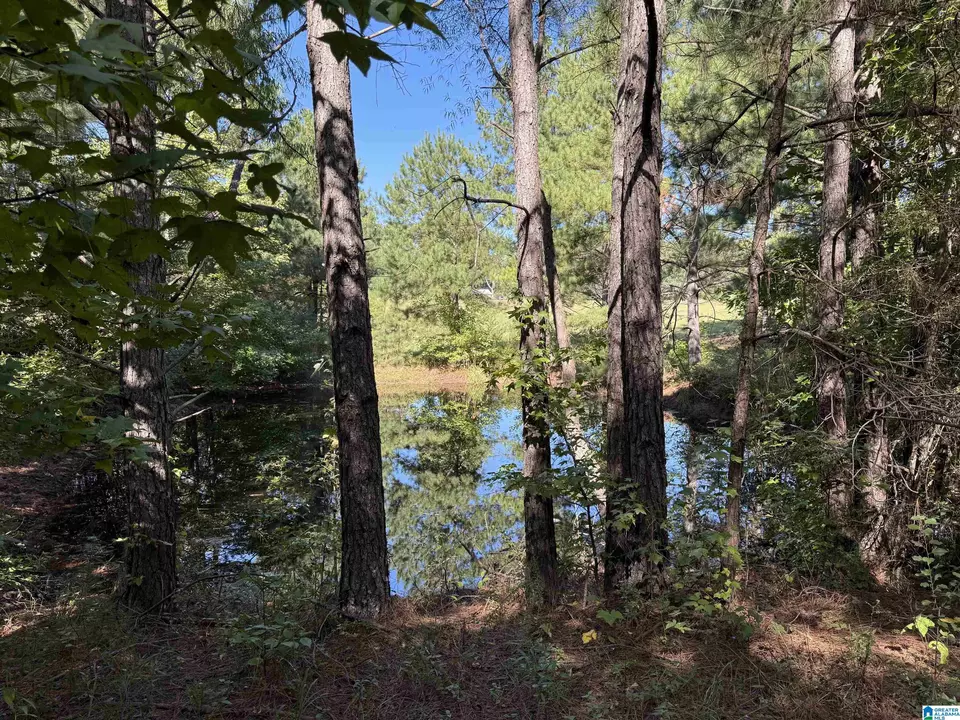  2361 New County Line Rd, Sylacauga, AL 35151 photo 16