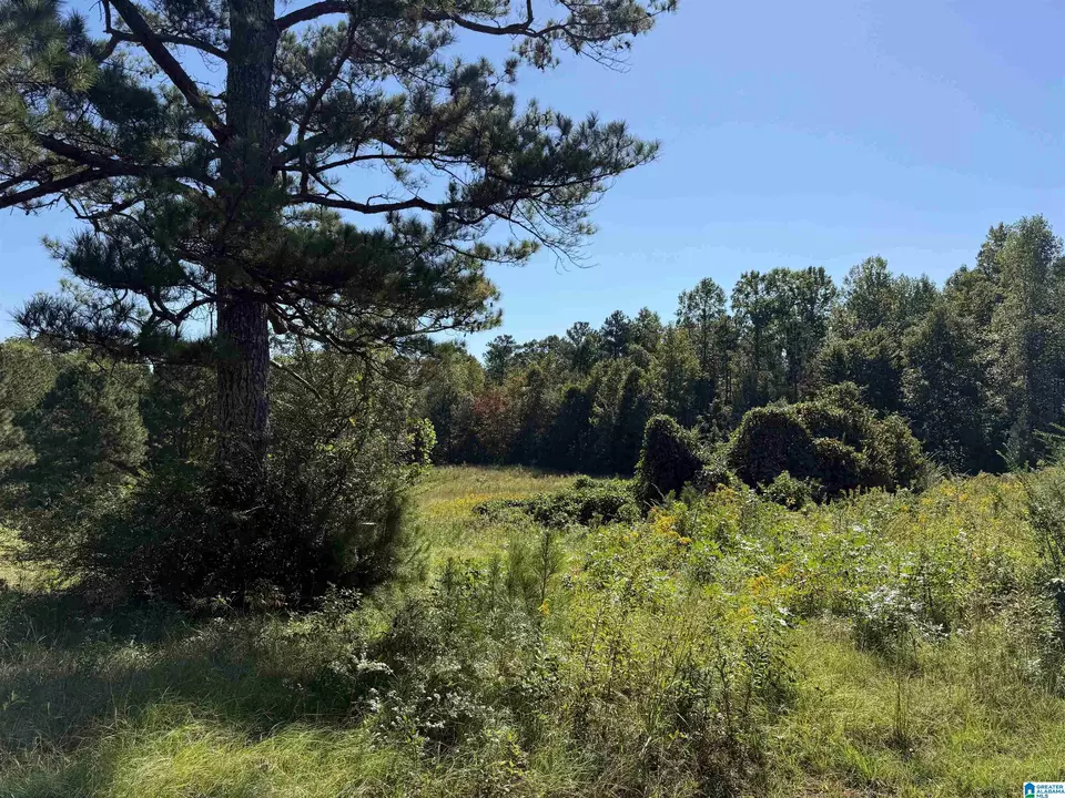  2361 New County Line Rd, Sylacauga, AL 35151 photo 33