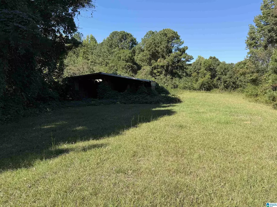  2361 New County Line Rd, Sylacauga, AL 35151 photo 8