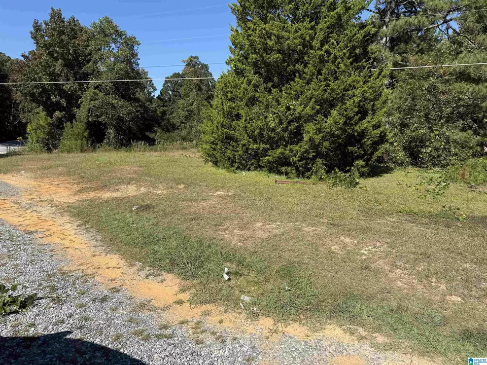  2361 New County Line Rd, Sylacauga, AL 35151 photo 5