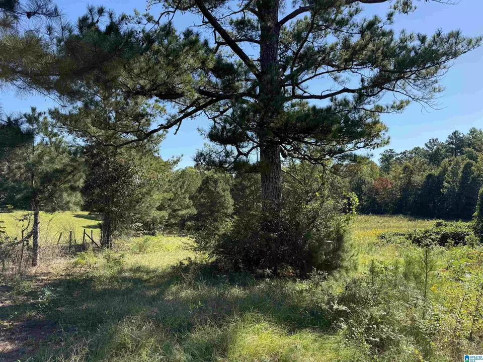  2361 New County Line Rd, Sylacauga, AL 35151 photo 34