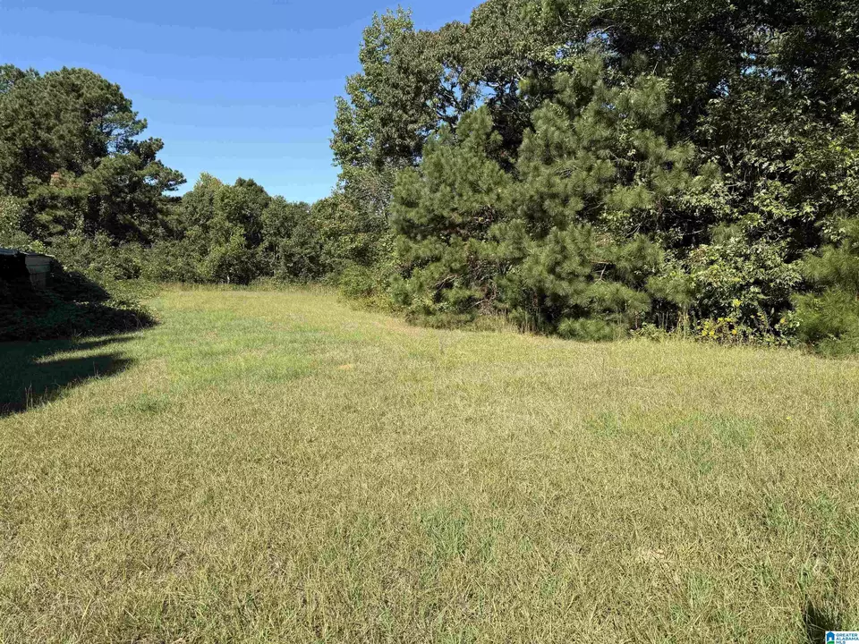  2361 New County Line Rd, Sylacauga, AL 35151 photo 9
