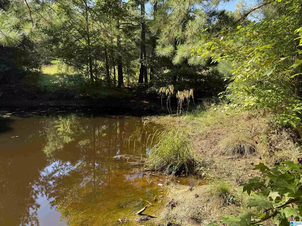  2361 New County Line Rd, Sylacauga, AL 35151 photo 23