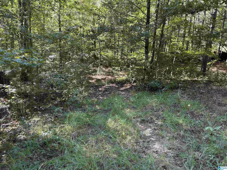  2361 New County Line Rd, Sylacauga, AL 35151 photo 20