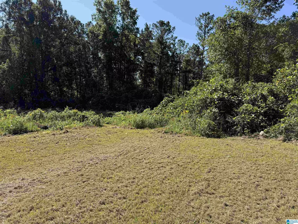  2361 New County Line Rd, Sylacauga, AL 35151 photo 3