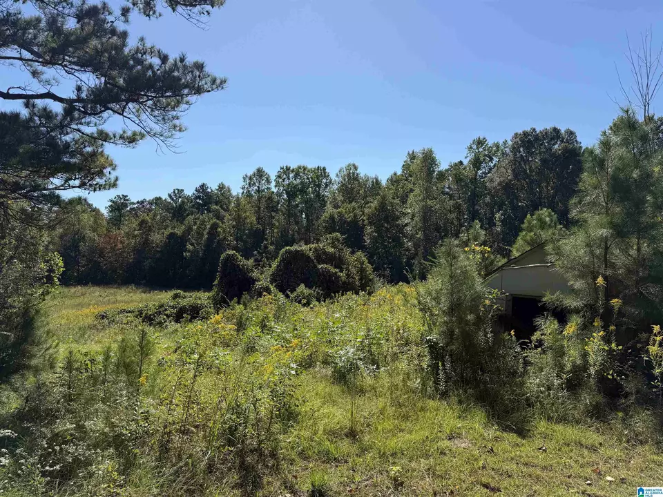  2361 New County Line Rd, Sylacauga, AL 35151 photo 32