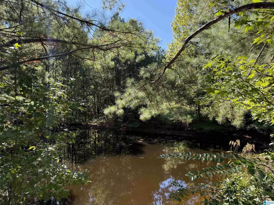  2361 New County Line Rd, Sylacauga, AL 35151 photo 24