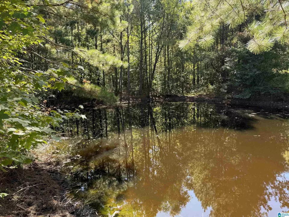 2361 New County Line Rd, Sylacauga, AL 35151 photo 22