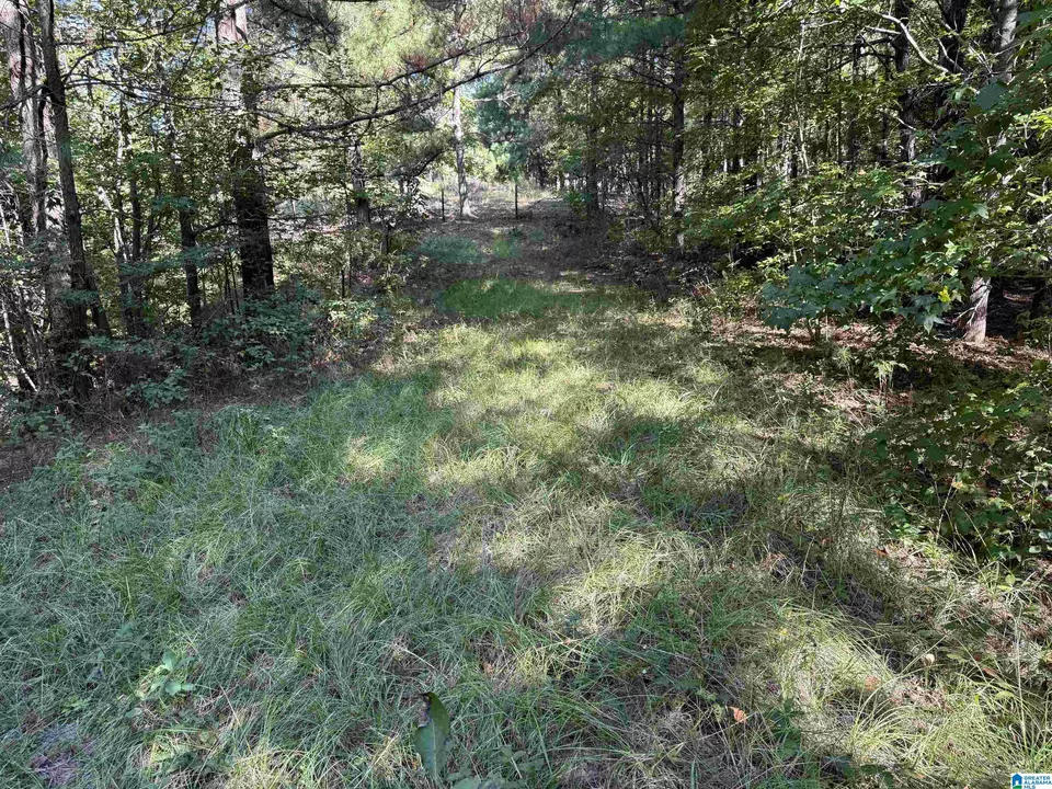  2361 New County Line Rd, Sylacauga, AL 35151 photo 18