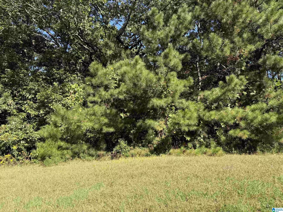  2361 New County Line Rd, Sylacauga, AL 35151 photo 10