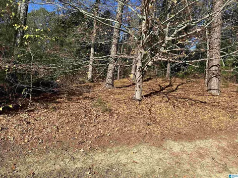 0 Monticello Pl #8, Jacksonville, AL 36265