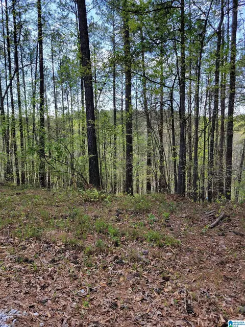 lake geneva drive, Wedowee, AL 36278