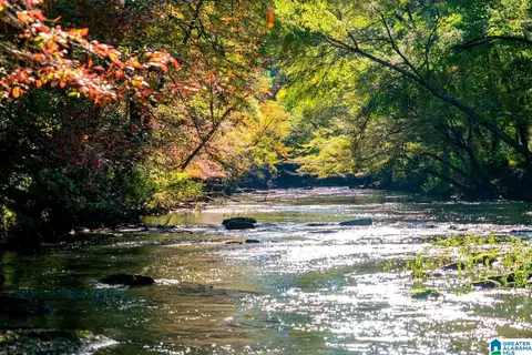 lot4 Bluegrass Ln #4, Jasper, AL 35503