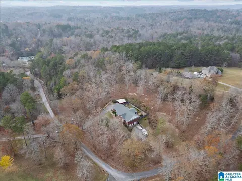 258 Lakeshore Loop, Oneonta, AL 35121 photo 7