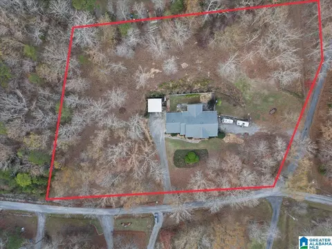 258 Lakeshore Loop, Oneonta, AL 35121 photo 18
