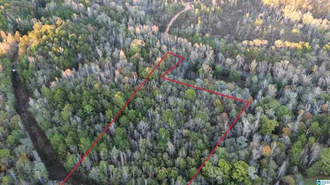 0 Coosa County Road 66 #0, Goodwater, AL 35072
