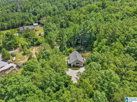 84 Dorr Rd, Oneonta, AL 35121 photo 9