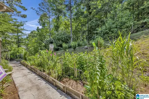 84 Dorr Rd, Oneonta, AL 35121 photo 37