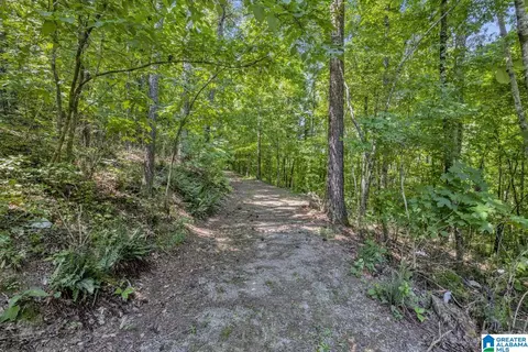 84 Dorr Rd, Oneonta, AL 35121 photo 39