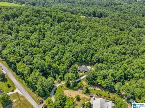 84 Dorr Rd, Oneonta, AL 35121 photo 38