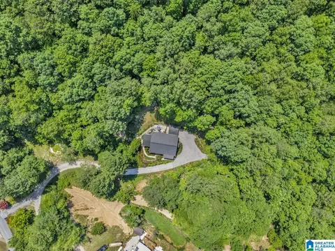 84 Dorr Rd, Oneonta, AL 35121 photo 8