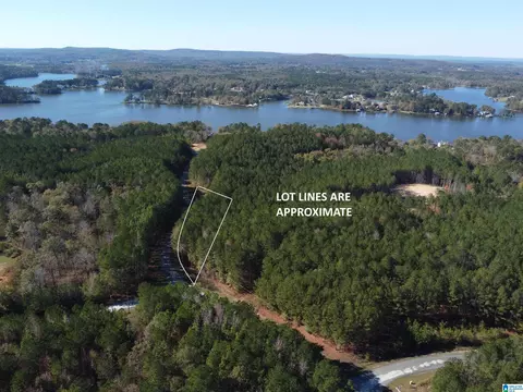 lot221 Shore Side Ln #221, Sylacauga, AL 35151