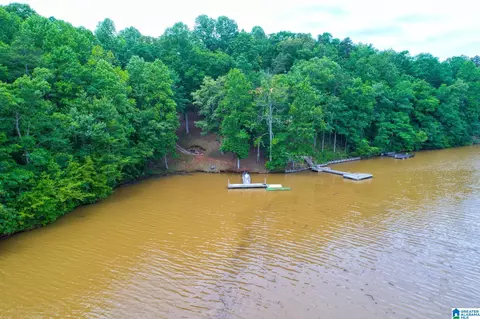 lot4 County Road 3130 #4, Delta, AL 36258