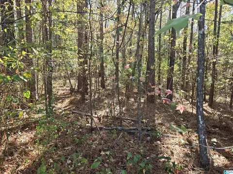 0 Maynor Ln #21, Oneonta, AL 35121