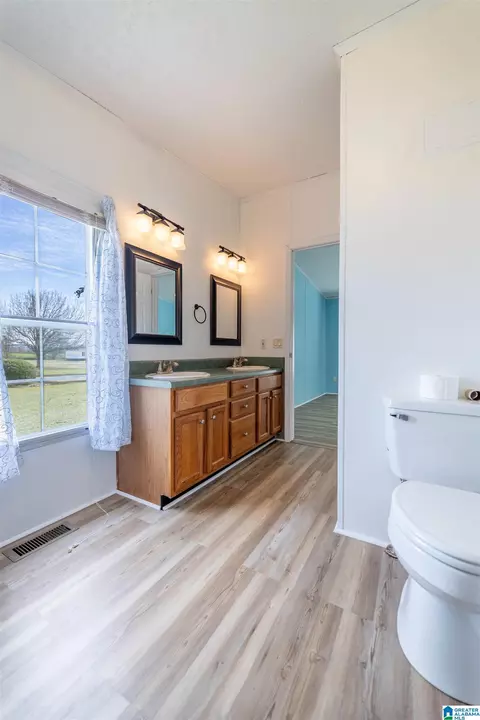 161 Robanna Cir, Ohatchee, AL 36271 photo 19