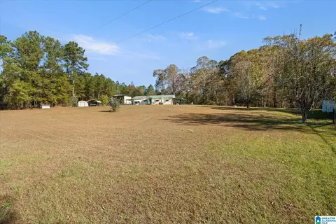 2190 County Road 281, Five Points, AL 36855 photo 31