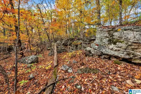 566 Boulder Trl, Warrior, AL 35180 photo 39