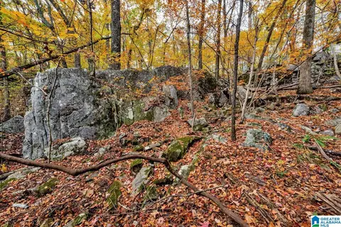 566 Boulder Trl, Warrior, AL 35180 photo 40