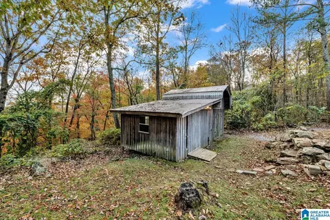 566 Boulder Trl, Warrior, AL 35180 photo 44